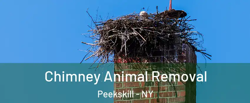 Chimney Animal Removal Peekskill - NY