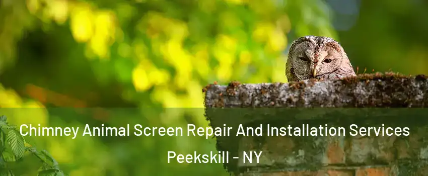 Chimney Animal Screen Repair And Installation Services Peekskill - NY