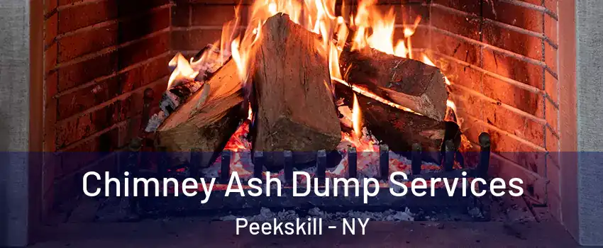  Chimney Ash Dump Services Peekskill - NY