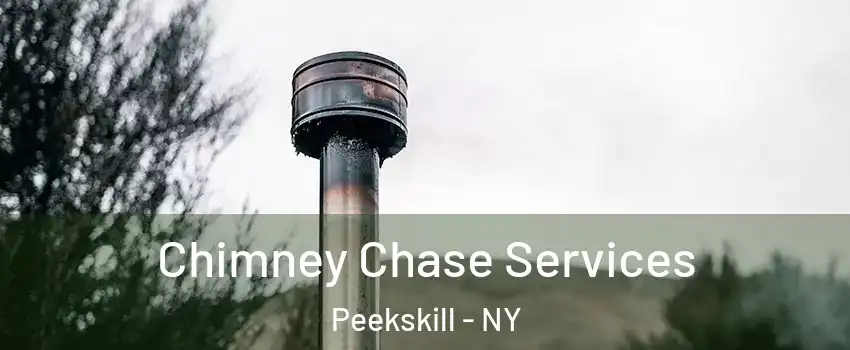  Chimney Chase Services Peekskill - NY