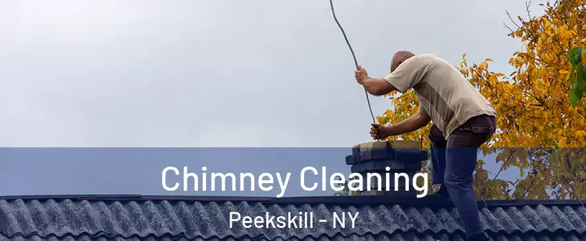  Chimney Cleaning Peekskill - NY