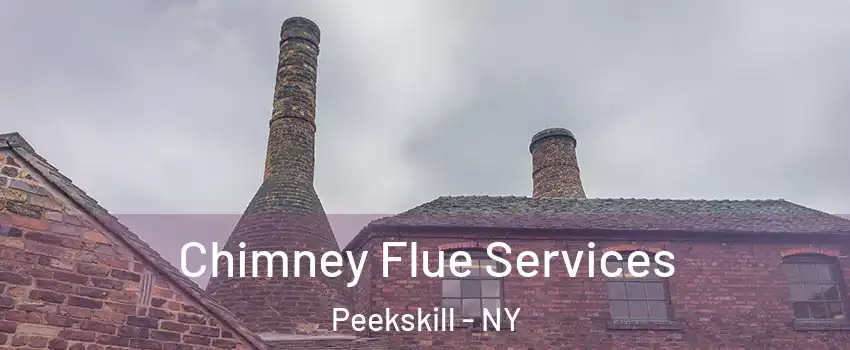  Chimney Flue Services Peekskill - NY