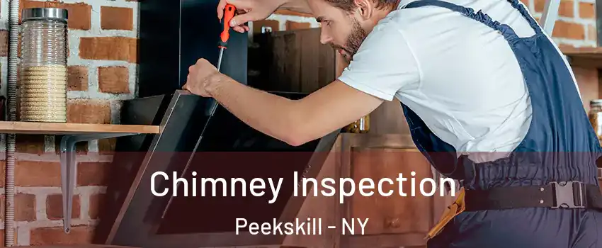  Chimney Inspection Peekskill - NY
