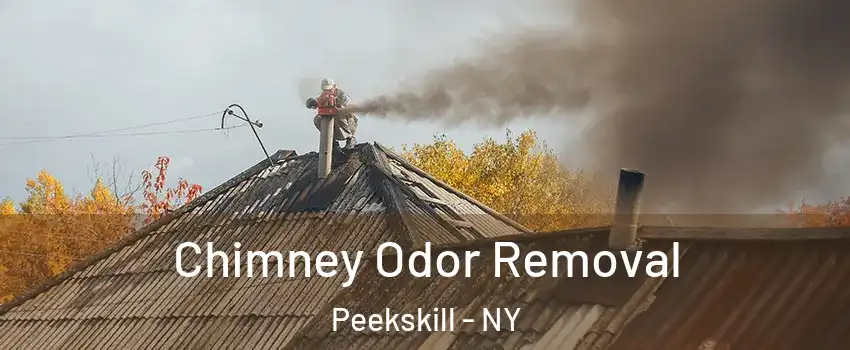  Chimney Odor Removal Peekskill - NY