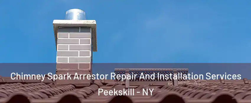  Chimney Spark Arrestor Repair And Installation Services Peekskill - NY