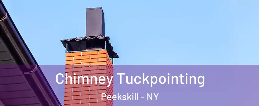 Chimney Tuckpointing Peekskill - NY