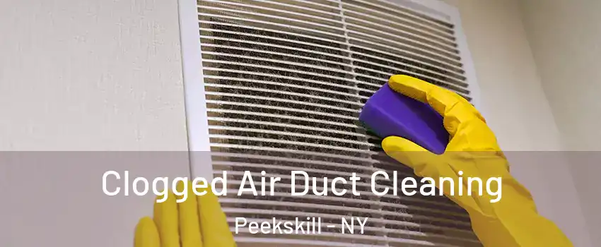  Clogged Air Duct Cleaning Peekskill - NY