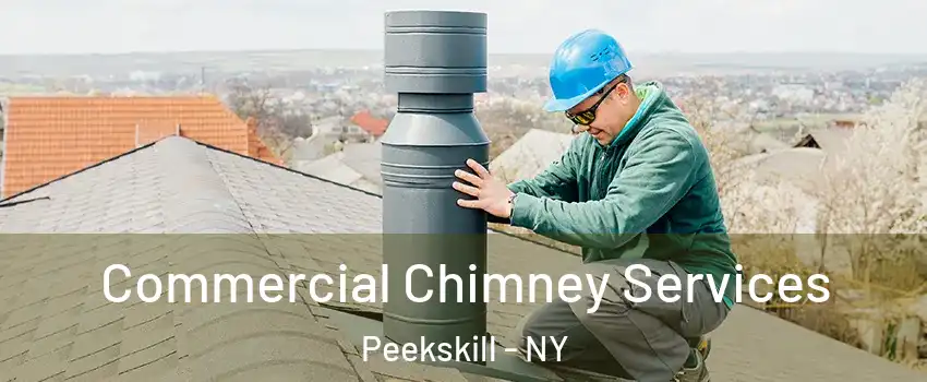  Commercial Chimney Services Peekskill - NY