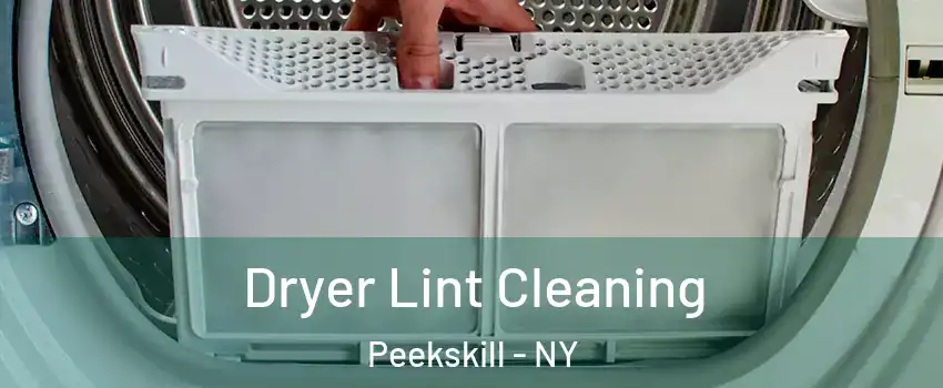  Dryer Lint Cleaning Peekskill - NY