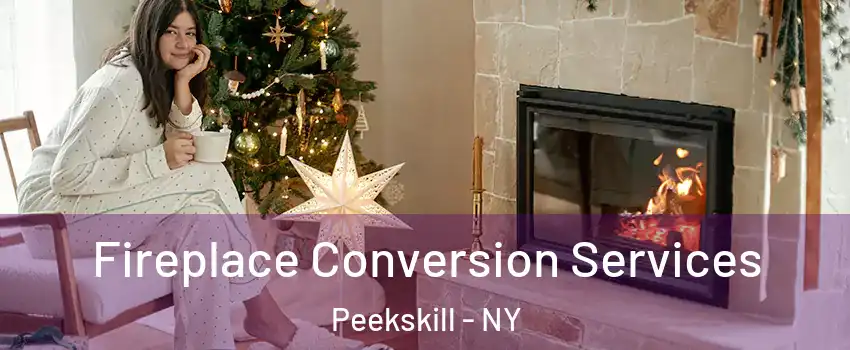  Fireplace Conversion Services Peekskill - NY
