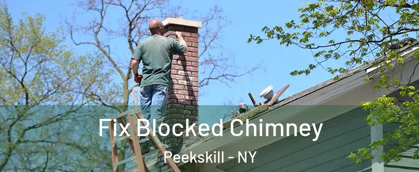  Fix Blocked Chimney Peekskill - NY