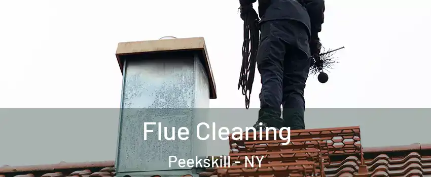  Flue Cleaning Peekskill - NY
