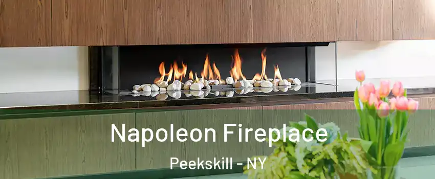  Napoleon Fireplace Peekskill - NY